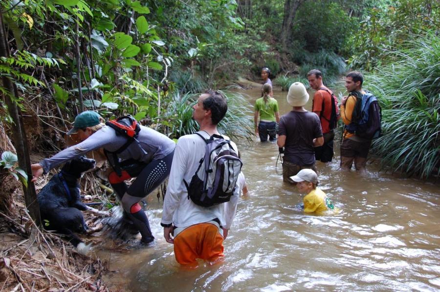 Hashers in borneo jungle walking through a river