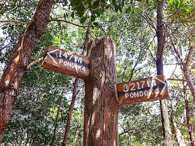 Starting Over – Whether You’re Ready or&nbsp;Not…